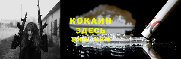 МДПВ Протвино