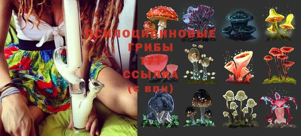 прущая мука Приозерск
