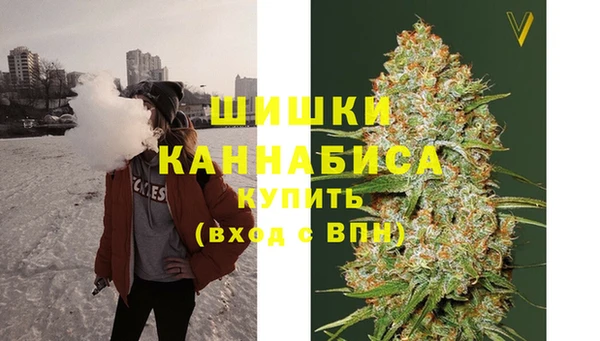 МДПВ Протвино
