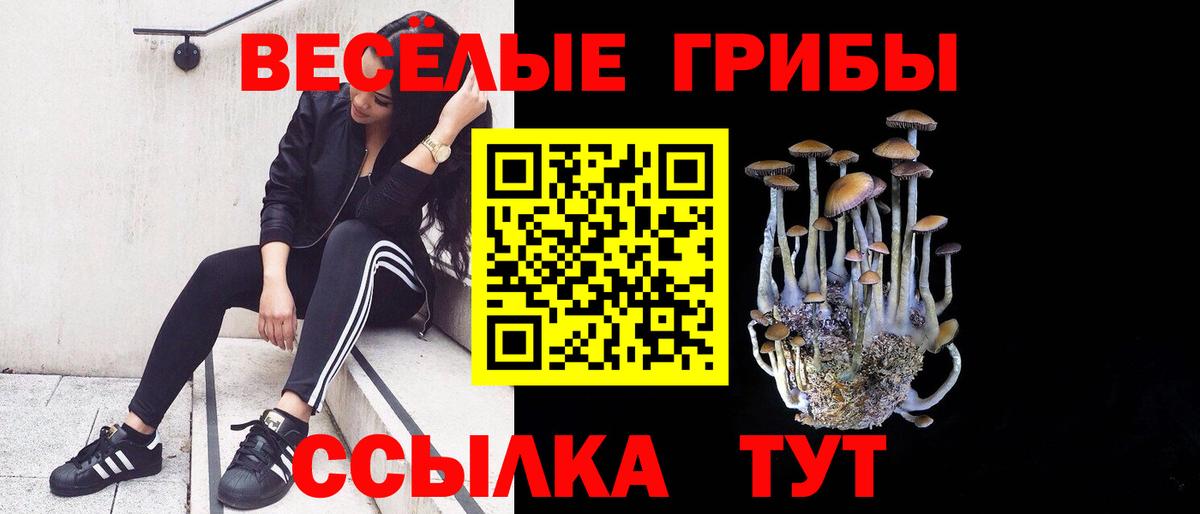 Азнакаево  Псилоцибиновые грибы ЛСД  Вход с VPN 